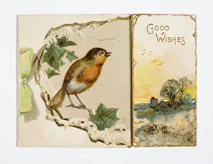 Robin with Winter Scene