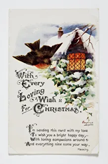 Robin with Winter Scene