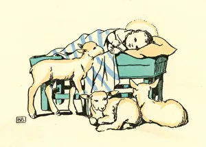 Manger Gallery: Christmas card, Baby Jesus and Lambs