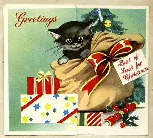Christmas card, Black kitten in a sack