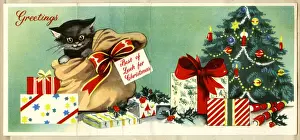 Christmas card, Black kitten in a sack