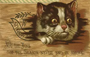 Morales Prints: Christmas card, Cat with surprised expression