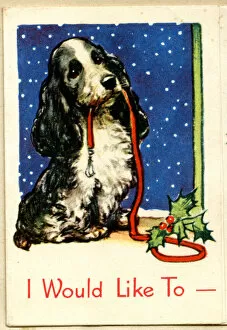 Hoping Gallery: Christmas card, Cocker Spaniel dog