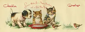 Robins Prints: Christmas card, dog, kittens and robins