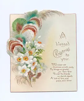 Narcissus Prints: Christmas card with flowers and feathers