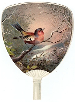 Robin with Winter Scene