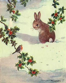 Holly Collection: Christmas card, Rabbit and robin