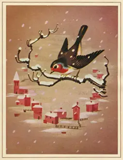 Robins Prints: Christmas card, Robin on a branch