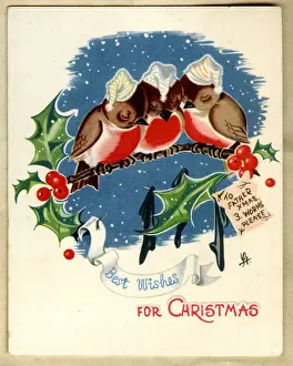 Berries Prints: Christmas card, three robins asleep on a branch