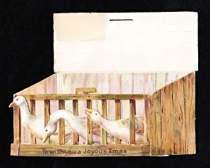 Christmas card in the shape of a box of live geese