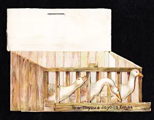Christmas card in the shape of a box of live geese