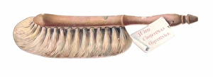 Victorian and Edwardian Christmas Cards Gallery: Christmas card in the shape of a brush