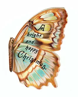 Images Dated 9th May 2018: Christmas card in the shape of a butterfly