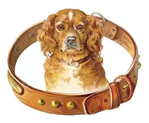 Stud Prints: Christmas card in the shape of a dogs collar