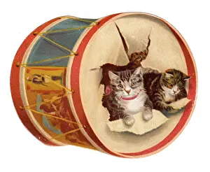 Christmas card in the shape of a drum with cats