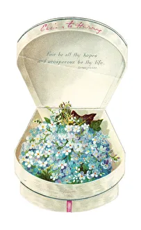 Images Dated 9th May 2018: Christmas card in the shape of a gift box