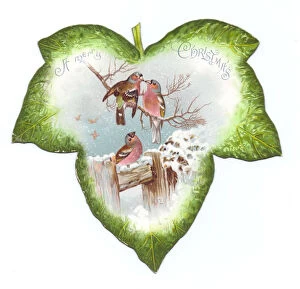Chaffinch Collection: Christmas card in the shape of a green leaf with birds