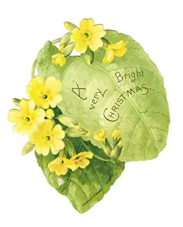 Veins Prints: Christmas card in the shape of a green leaf with primroses