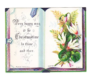Images Dated 11th November 2015: Christmas card in the shape of an open book