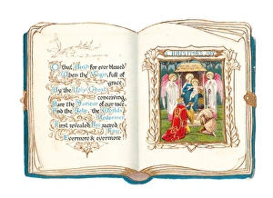 Images Dated 13th November 2015: Christmas card in the shape of an open book