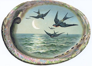 Christmas card in the shape of a shell