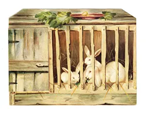 Christmas card in the shape of a rabbit hutch