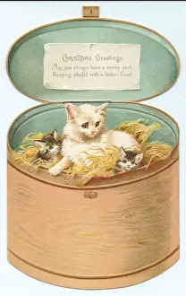 Christmas card in the shape of a round wooden box