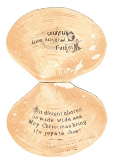 Christmas card in the shape of a shell