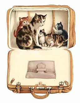 Images Dated 9th May 2018: Christmas card in the shape of a suitcase