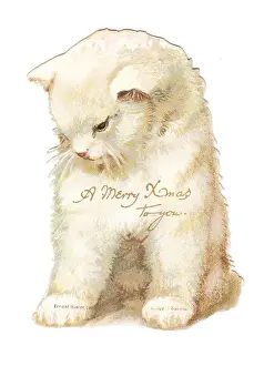 Christmas card in the shape of a white kitten