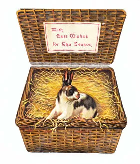Images Dated 17th May 2018: Christmas card in the shape of a wickerwork basket