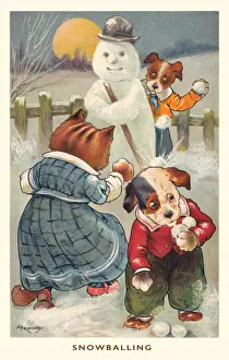 Christmas cats & dogs