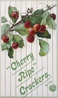 Christmas Cracker box label