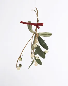 Plastic Collection: Christmas decoration