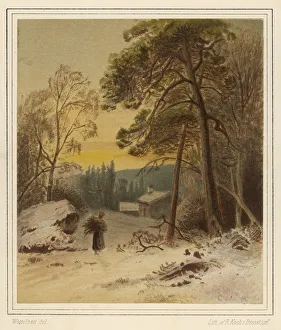 Cold Gallery: Christmas - Firewood 19th