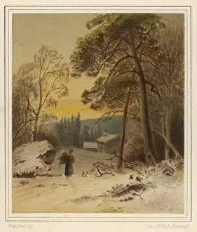 Christmas / Firewood 19Th