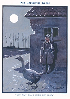 Goose Series (1 of 4)