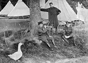 Bugles Prints: The Christmas goose that comes to Tommys bugle call