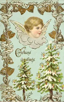 Christmas Greetings Postcard