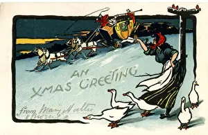 Signpost Prints: Christmas Greetings postcard