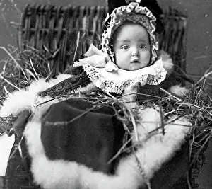 Hamper Prints: A Christmas Hamper Victorian period