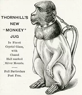Images Dated 8th December 2017: Christmas present - Monkey Jug 1893