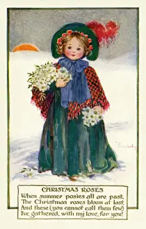 Amidst Prints: Christmas roses