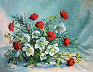 Arrangement Prints: Christmas Roses