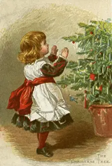 The Christmas Tree