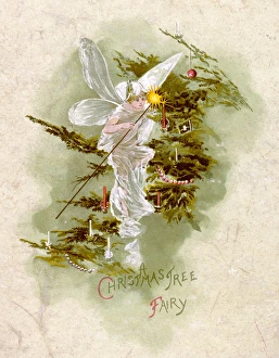 Christmas Gallery: Christmas / Tree Fairy