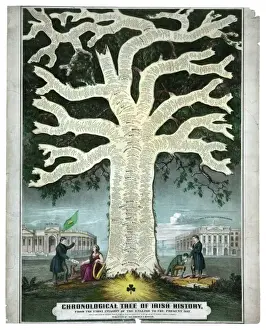 Chronological tree of Irish history from the first invasion