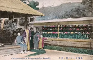 Nagasaki Prints: Chrysanthemum blooms - Karurusu Garden, Nagasaki, Japan