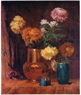 Williams Collection: Chrysanthemums