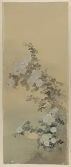 Chrysanthemums Prints: Chrysanthemums